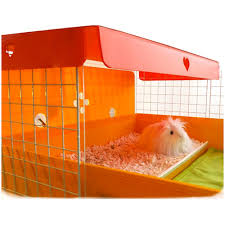 C C Cages For Guinea Pigs