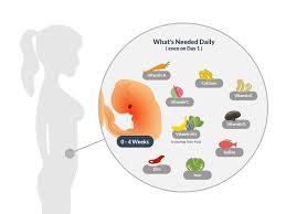 how prenatal vitamins increase your