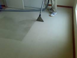 professional carpet cleaning after