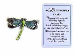 Pin On Dragonflies