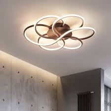 China Customized S Ceiling Lamp