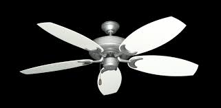 raindance ceiling fan in brushed nickel