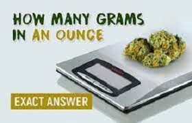 how many grams in an ounce g in oz