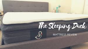 review the sleeping duck mattress in