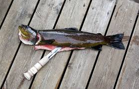 fishing trout freshwater fish knife