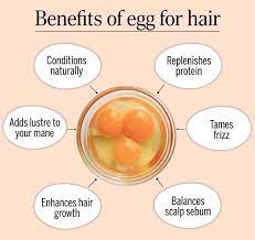 6 beauty benefits of eggs for hair care