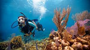 padi open water diver scuba diving