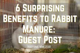6 surprising rabbit manure benefits