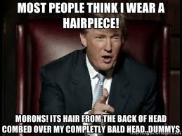 16 Donald Trump Hair Memes So Funny You&#39;ll Actually Be Grateful ... via Relatably.com