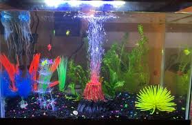 5 cool fish tank themes that will