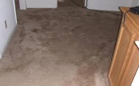 carpet drying time why it is important