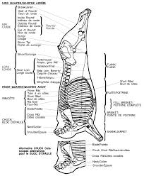 For Photo Diagram Of Meat Cuts Poultry Skeletal Diagram 1