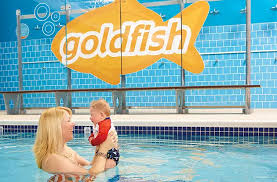goldfish swim opens in