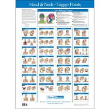 Kent Trigger Point Head And Neck Wall Chart