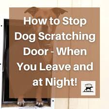 how to stop dog scratching door when