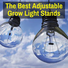Adjustable Grow Light Stand The Best Indoor Plant Light Racks
