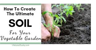 Awesome Soil For Your Vegetable Garden