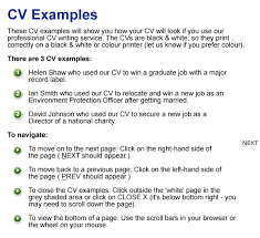 Ideas Collection Example Of A Professional Summary On A Resumes  