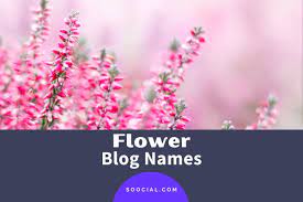488 catchy flower name ideas soocial