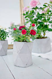 20 best diy concrete planter ideas to