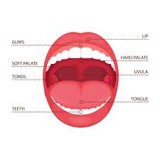 what causes a tingling tongue facty
