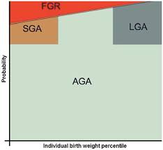 Frontiers The Possible Role Of Placental Morphometry In