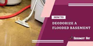 how to deodorize a flooded bat