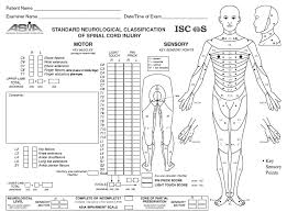 Asia Score And Spinal Injury Classification Bone And Spine