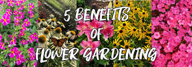 5 Benefits Of Starting A Flower Garden