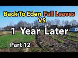 Back To Eden Gardening Method Soil 101
