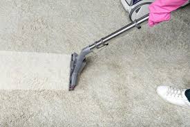 professional carpet cleaning in park