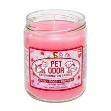 *free* shipping on orders $49+ and the best customer service. Pet Odor Exterminator Candles 28 Great Fragrances