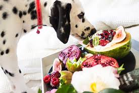 Fruits And Vegetables Your Dog Can
