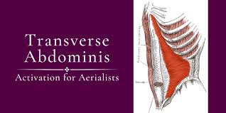 activating the transverse abdominis for