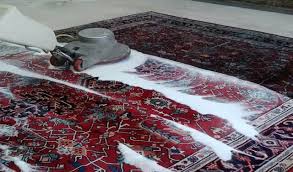 professional oriental rug cleaning and