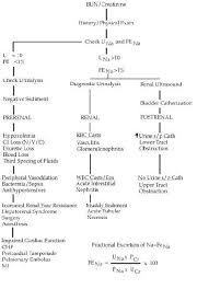 General Medical Officer Gmo Manual Clinical Section Acut