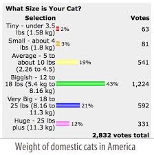 Cat Weight Chart Poc