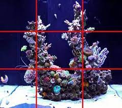 Fresh water tank with black gravel animals fish tank. Reef Tank Aquascapes 15 Stunning Design Tips The Beginners Reef