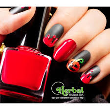 lv herbal nails spa in clear lake