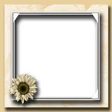 flower photo frame png transpa