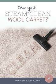 steam clean wool carpets and rugs