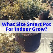 It is a new and unique advancement in container technology that is. What Size Smart Pot For Indoor Grow Grow Light Info