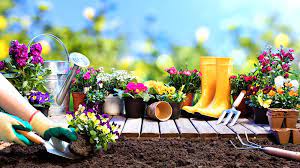 Easy Gardening Tips And Tricks