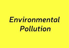 environmental pollution essay 100