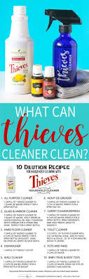 What Can Thieves Household Cleaner Clean Thats What Che