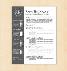 Professional Resume Template Free Download Cv Pdf Format For Mca