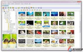 Download xnview for windows pc from filehorse. Xnview Photos Application Software Free Download