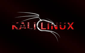 Resultado de imagen para kali linux