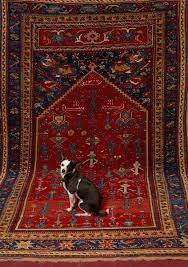what to know about oriental rugs to pin