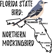florida state bird bird watching academy